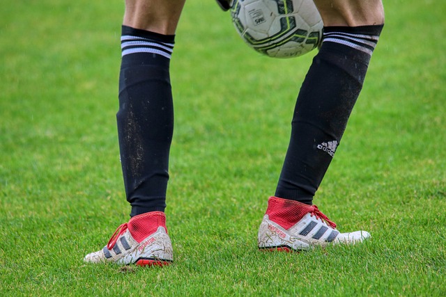 素增多的情 素增多的情