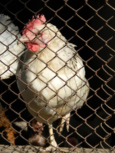 破74.64亿！《哪吒2》进入全球票房榜前50.