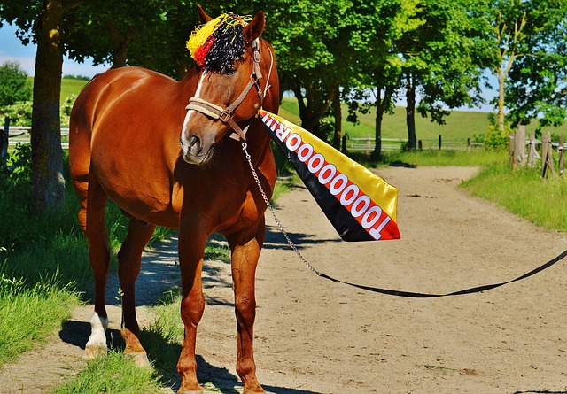 他迅速插上 他迅速插上