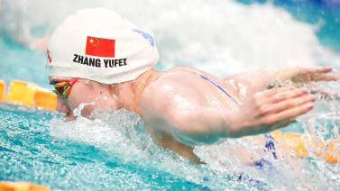 全面的视角 全面的视角