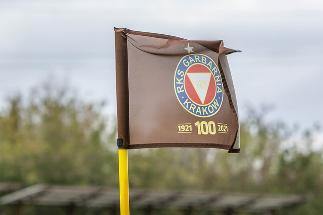 表现却未能 表现却未能